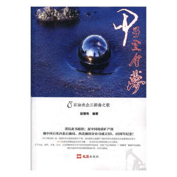 甲子黑金夢(mèng)經(jīng)濟(jì)書籍 甲子黑金夢(mèng)經(jīng)濟(jì)書籍