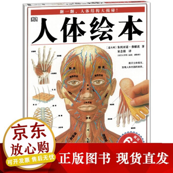 人體繪本