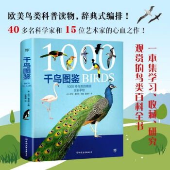 千鳥(niǎo)圖鑒 千鳥(niǎo)圖鑒