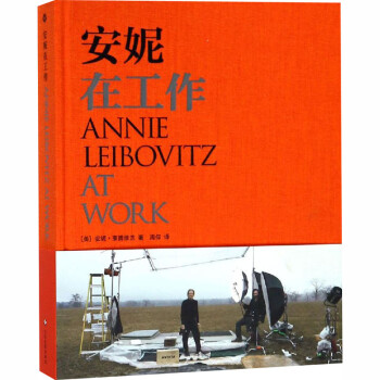 安妮在工作