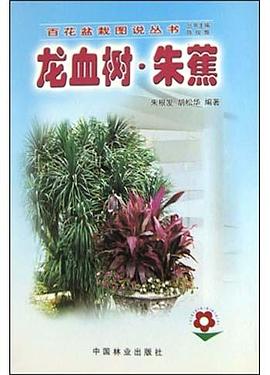 龍血樹(shù).朱蕉 龍血樹(shù).朱蕉