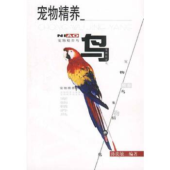 鳥--寵物精養 鳥--寵物精養