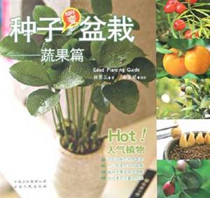 #種子變盆栽蔬果篇