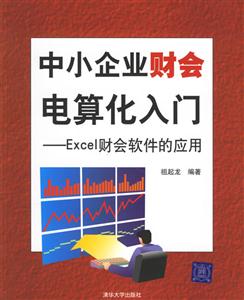 中小企業(yè)財會電算化入門:Excel財會軟件的應用 中小企業(yè)財會電算化入門:Excel財會軟件的應用