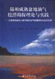 陸相成熟盆地油氣挖潛勘探理論與實(shí)踐以渤海灣盆地八面河探區(qū)油氣成藏研究與應(yīng)用為例 陸相成熟盆地油氣挖潛勘探理論與實(shí)踐以渤海灣盆地八面河探區(qū)油氣成藏研究與應(yīng)用為例