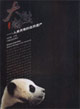 大熊貓人類共有的自然遺產(chǎn) 大熊貓人類共有的自然遺產(chǎn)