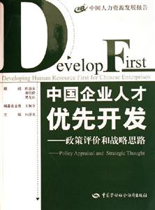 中國企業(yè)人才優(yōu)先開發(fā)政策評價和戰(zhàn)略思路policyappraisalandstrategicthought 中國企業(yè)人才優(yōu)先開發(fā)政策評價和戰(zhàn)略思路policyappraisalandstrategicthought