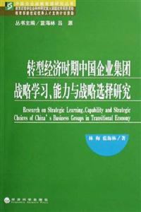轉(zhuǎn)型經(jīng)濟(jì)時期中國企業(yè)集團(tuán)戰(zhàn)略學(xué)習(xí)能力與戰(zhàn)略選擇研究 轉(zhuǎn)型經(jīng)濟(jì)時期中國企業(yè)集團(tuán)戰(zhàn)略學(xué)習(xí)能力與戰(zhàn)略選擇研究