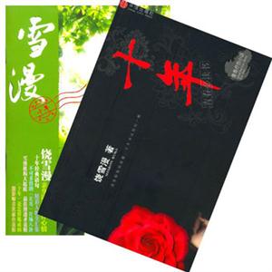 十年青春療傷小說(shuō) 十年青春療傷小說(shuō)