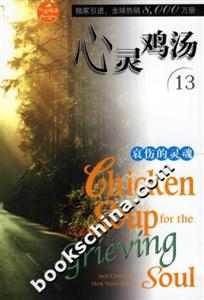 心靈雞湯哀傷的靈魂英文原版