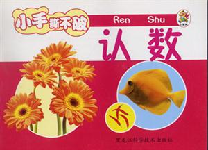 小笨熊成長(zhǎng)啟蒙系列小笨熊認(rèn)識(shí)小百科[認(rèn)數(shù)]