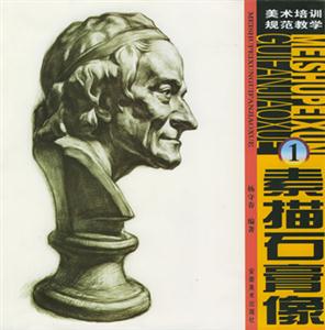 素描石膏像美術(shù)培訓(xùn)規(guī)范教學(xué) 素描石膏像美術(shù)培訓(xùn)規(guī)范教學(xué)