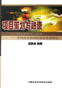 項(xiàng)目策劃與融資 項(xiàng)目策劃與融資
