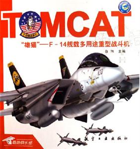 雄貓F14艦載多用途重型戰斗機
