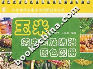 玉米病蟲害及防治原色圖冊(cè) 玉米病蟲害及防治原色圖冊(cè)