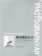 數(shù)碼攝影藝術(shù) 數(shù)碼攝影藝術(shù)
