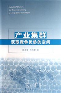 產(chǎn)業(yè)集群(獲取競(jìng)爭(zhēng)優(yōu)勢(shì)的空間) 產(chǎn)業(yè)集群(獲取競(jìng)爭(zhēng)優(yōu)勢(shì)的空間)